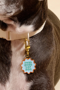 Pawfect Collar Charm