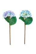 Everlasting Hydrangea Stem