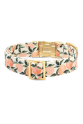 Peaches and Cream Dog Collar