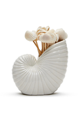 Nautilus Shell with Cocktail Picks