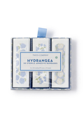 Hydrangea Bandages Gift Box