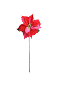 Red & Pink Poinsettia Stem