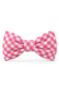 Hot Pink Gingham Dog Bow Tie