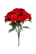 Red Poinsettia Bush Stem