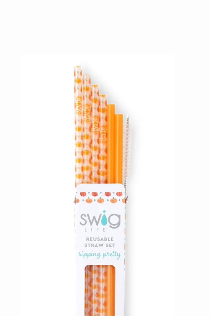 Swig Pumpkins + Orange Reusable Straw Set