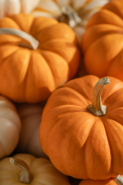 Pura Fragrance Refill - Pumpkin Picking (Smart Vial)