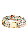 Peaches and Cream Dog Collar
