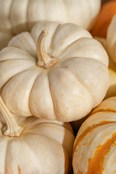 Pura Fragrance Refill - Pumpkin Macchiato (Smart Vial)