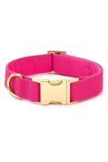Hot Pink Dog Collar