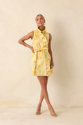 Lilly Mini Dress - Pressed Petals