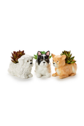 Sitting Dog Mini Cachepot