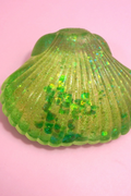 Jelly Shelly Squishy