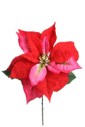 Red & Pink Poinsettia Stem