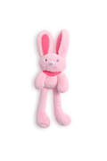 Floppy Plush Bunny