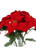 Red Poinsettia Bush Stem