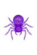 Spooky Spider Sugar Squishy - FINAL SALE