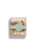 Seashell Hors D&