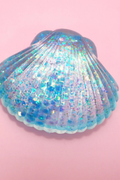 Jelly Shelly Squishy
