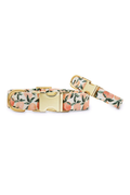 Peaches and Cream Dog Collar