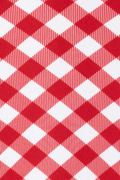 Patriotic Picnic Iced Cup Coolie (Medium)