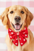Embroidered Hearts Dog Bow- FINAL SALE