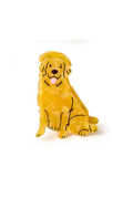 Dog Claw Clip