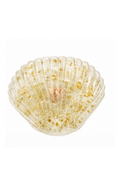 Goolala Squishie Shell