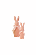 Pastel Bunny Bunch Set