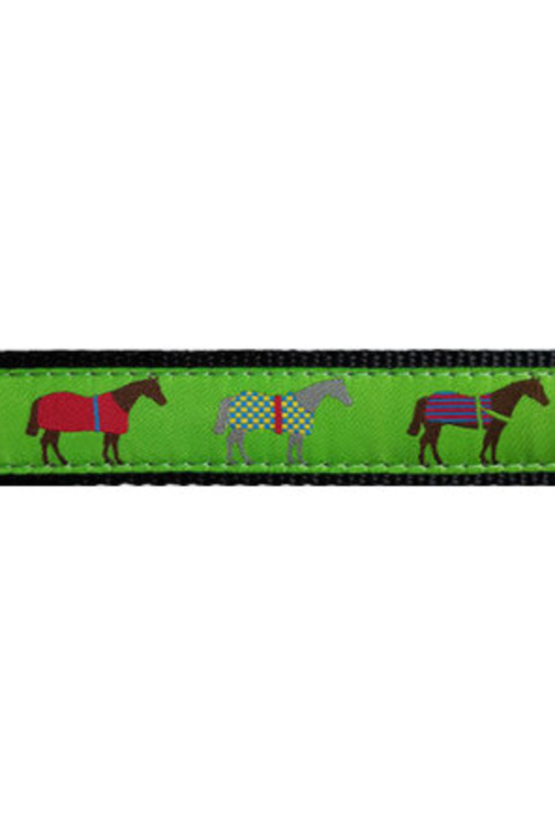 Winner's Circle Dog Collar