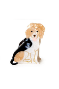 Dog Claw Clip