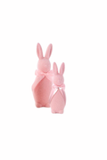 Pastel Bunny Bunch Set