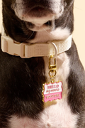 Pawfect Collar Charm