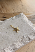 Starfish Charm