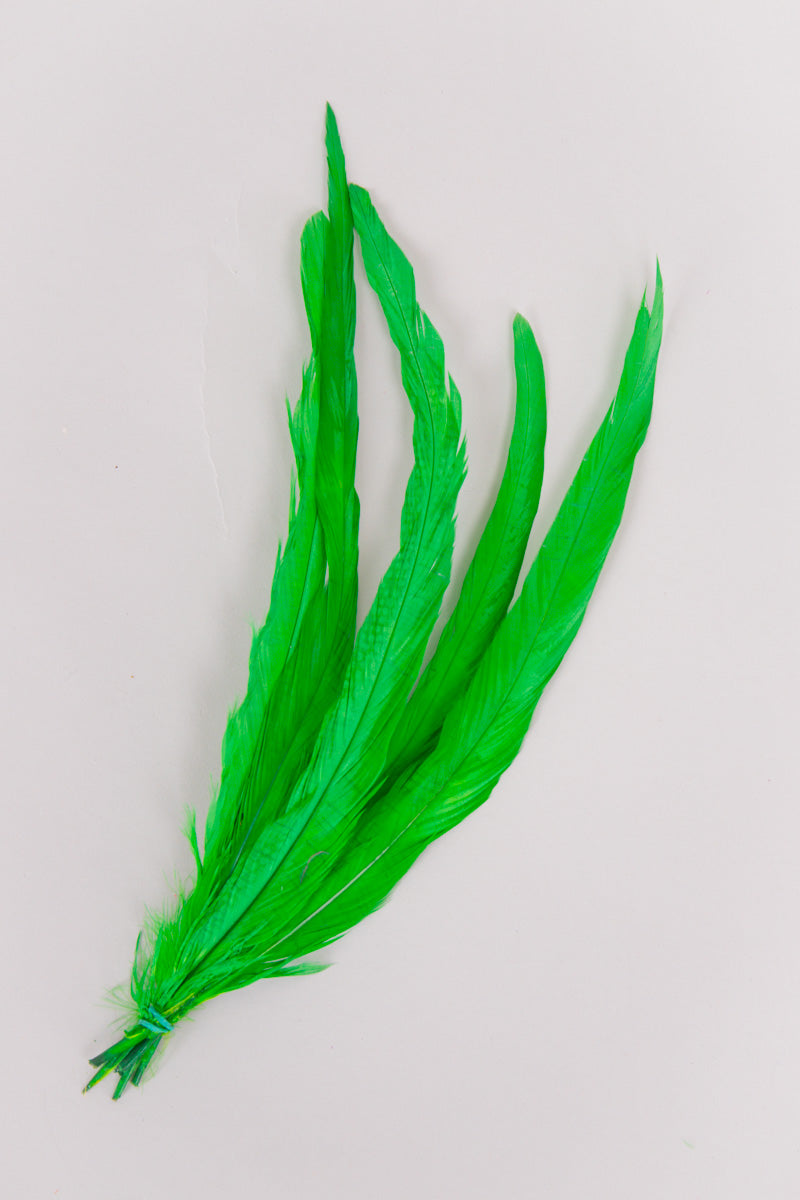 Long Rooster Feathers Bundle of 5- Green Band