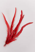 Long Rooster Feathers Bundle of 5 - Green Rubber Band - FINAL SALE