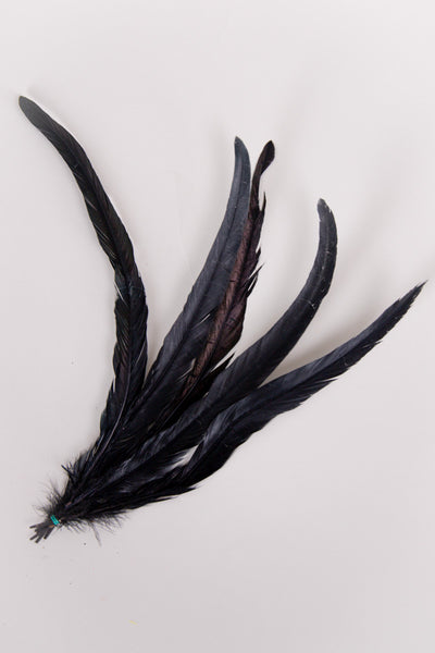 Long Rooster Feathers Bundle of 5- Green Band