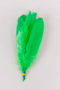 Goose Feathers Bundle of 6 - Yellow Rubber Band - FINAL SALE
