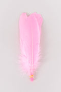 Goose Feathers Bundle of 6 - Yellow Rubber Band - FINAL SALE