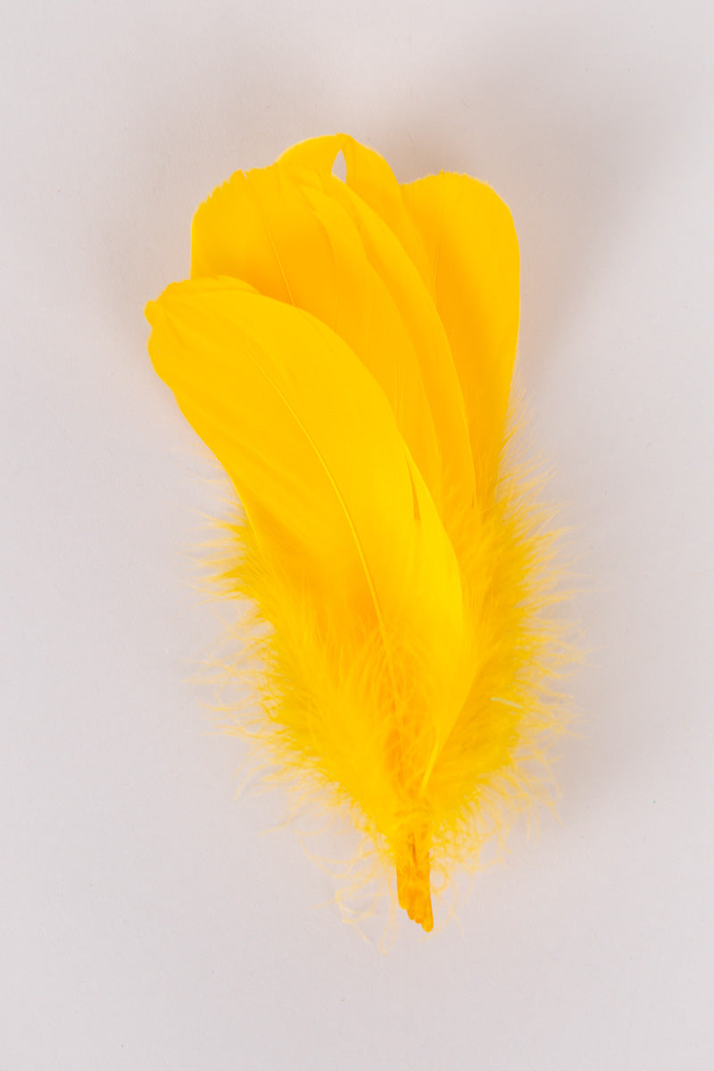 Goose Feathers Bundle of 6 - Yellow Band