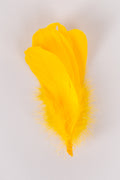 Goose Feathers Bundle of 6 - Yellow Rubber Band - FINAL SALE