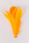Goose Feathers Bundle of 6 - Yellow Rubber Band - FINAL SALE
