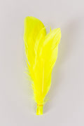 Goose Feathers Bundle of 6 - Yellow Rubber Band - FINAL SALE