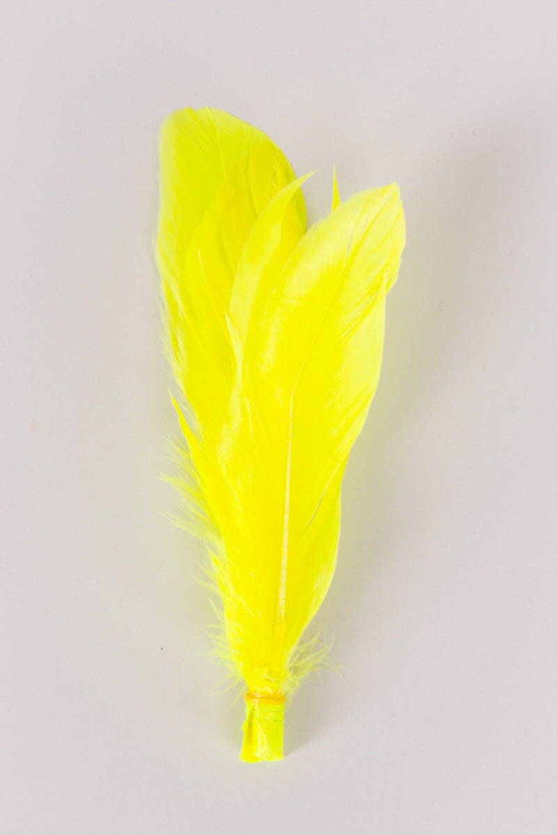 Goose Feathers Bundle of 6 - Yellow Band