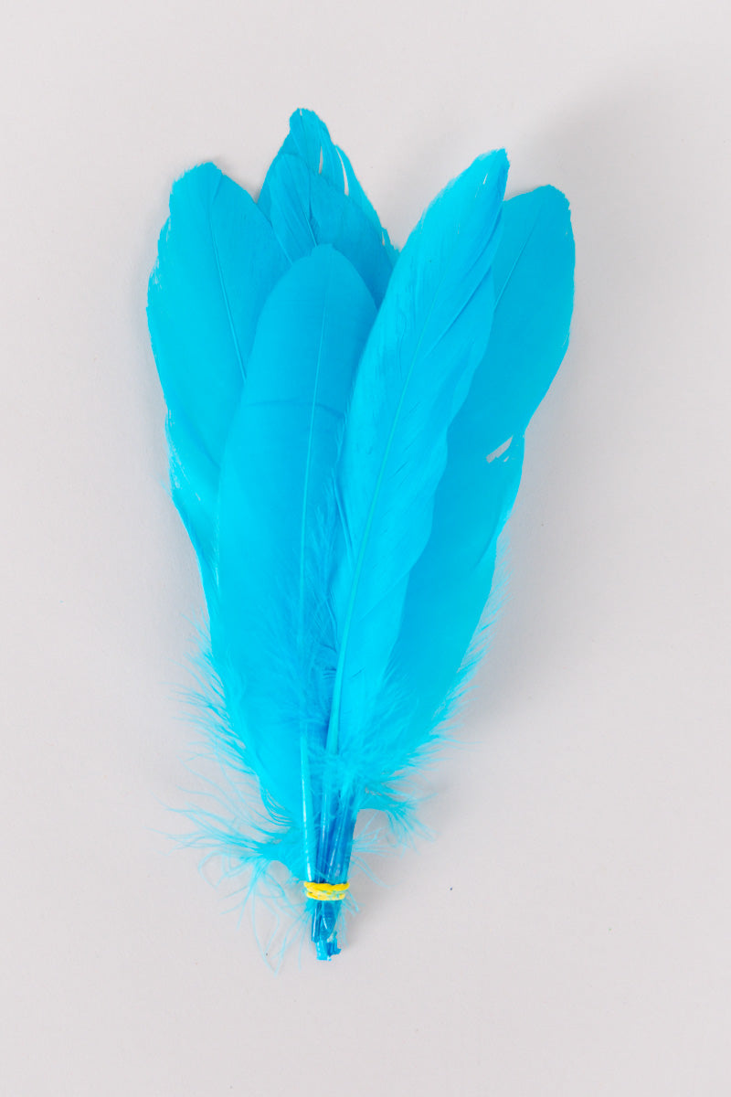 Goose Feathers Bundle of 6 - Yellow Band