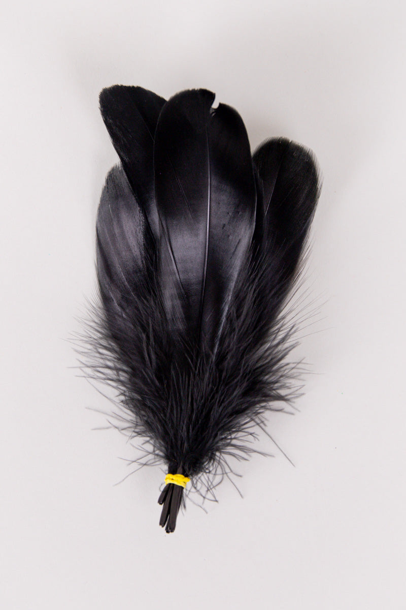 Goose Feathers Bundle of 6 - Yellow Band