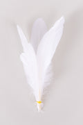 Goose Feathers Bundle of 6 - Yellow Rubber Band - FINAL SALE