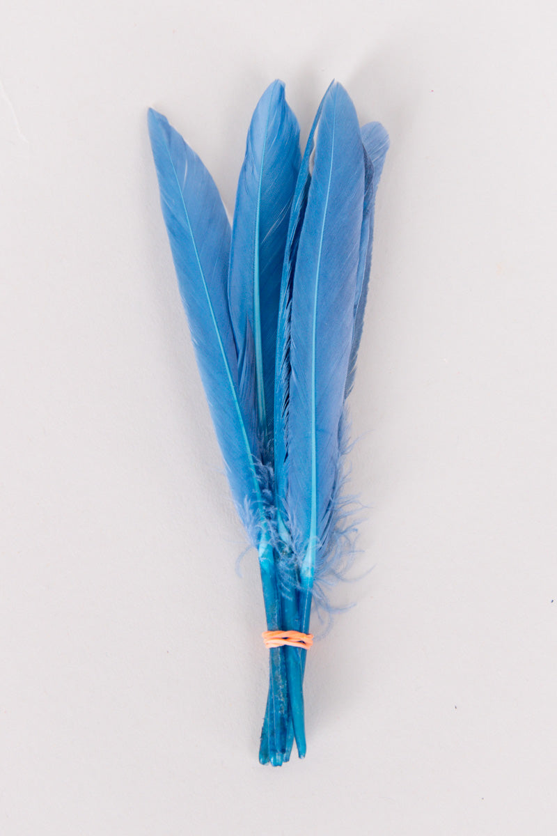 Mini Goose Feathers Bundle of 6- Orange Band