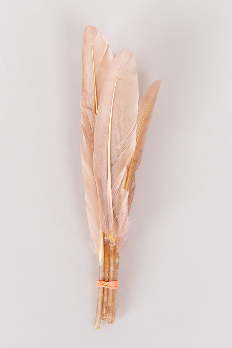 Mini Goose Feathers Bundle of 6- Orange Band