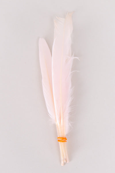 Mini Goose Feathers Bundle of 6- Orange Band