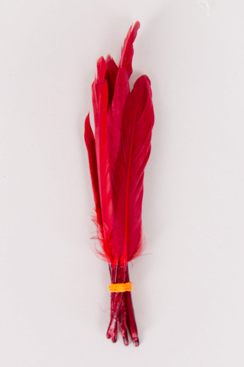 Mini Goose Feathers Bundle of 6- Orange Band